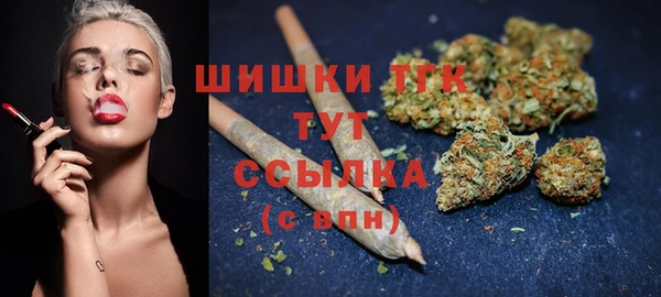 шишки Кодинск