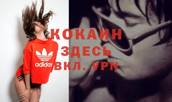 крисы Алзамай
